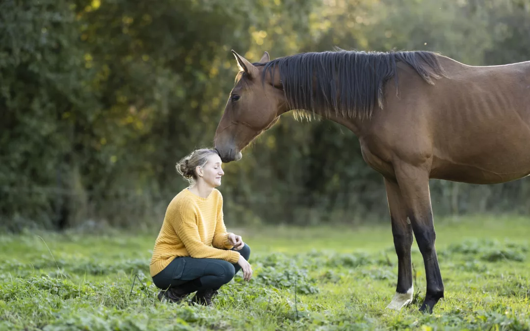 L’importance de la communication non-verbale entre l’humain et le cheval