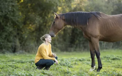 L’importance de la communication non-verbale entre l’humain et le cheval