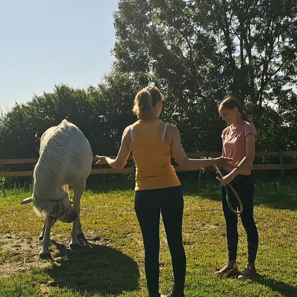 Clicker training