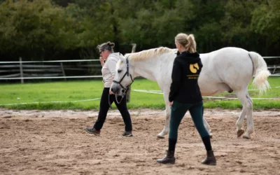 Comprendre le problème de comportement chez le cheval